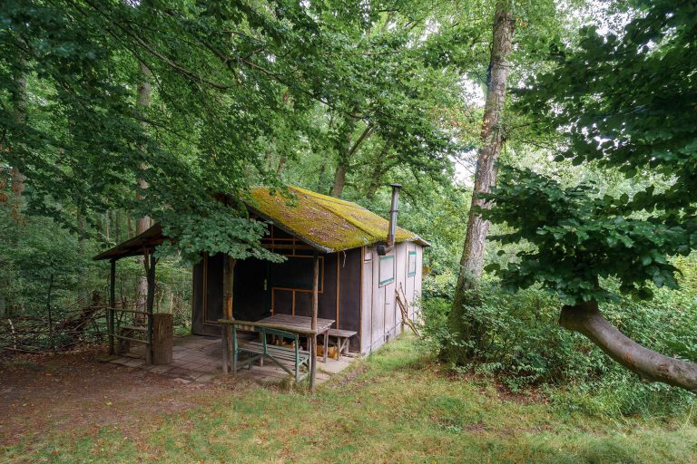 Luftbad Waldwiese mit Hütte
