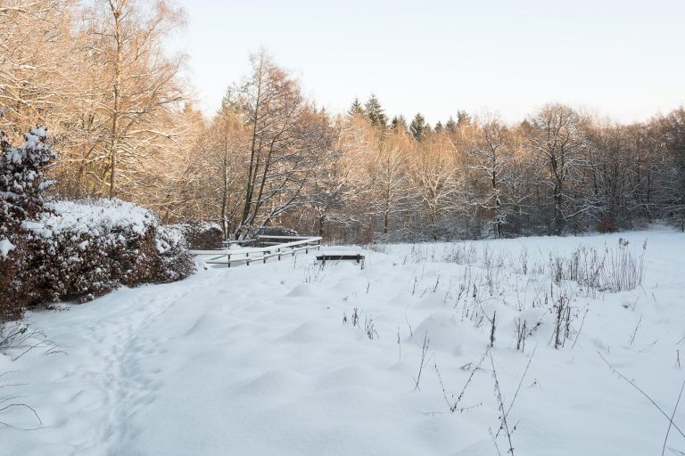Luftbad Waldwiese im Winter